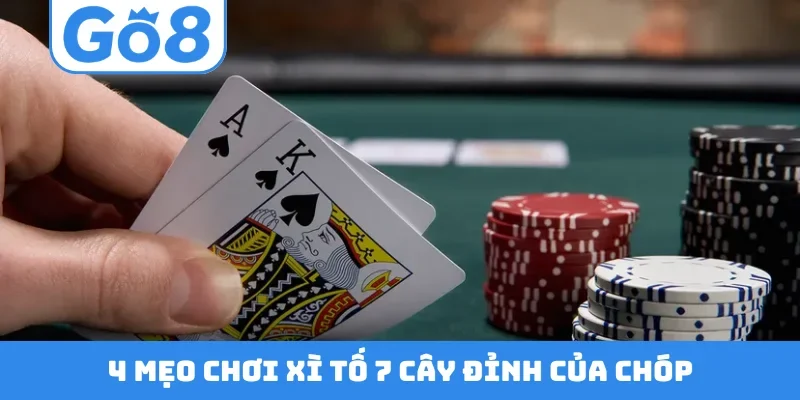 4 mẹo chơi xì tố 7 cây đỉnh của chóp
