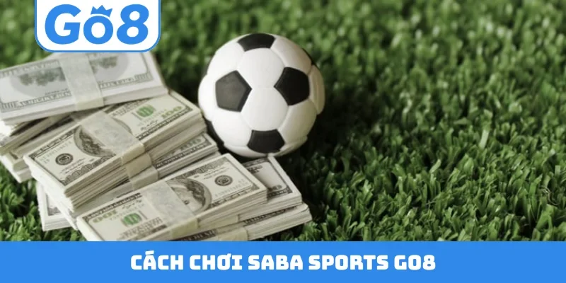 Saba Sports go8
