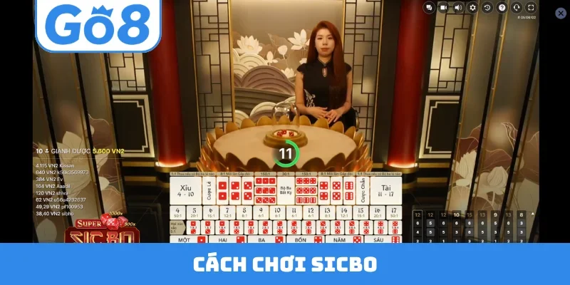 Sicbo