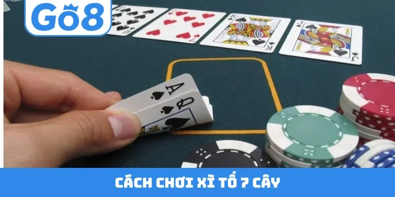 Xì Tố 7 Cây