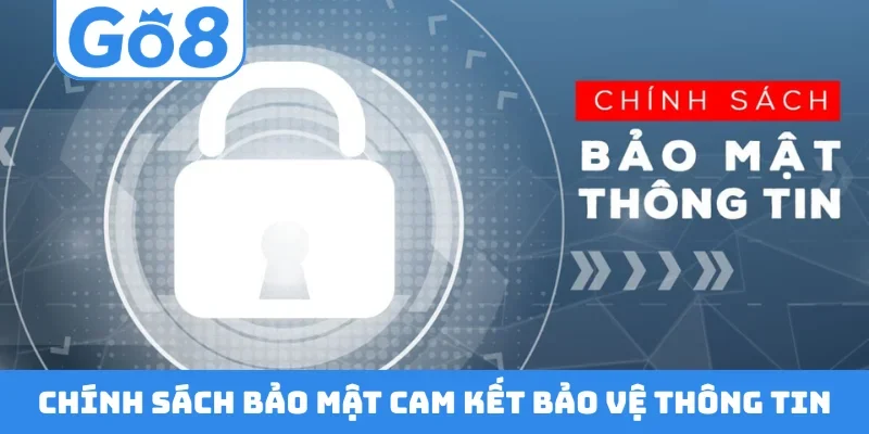 Chính sách bảo mật cam kết bảo vệ thông tin