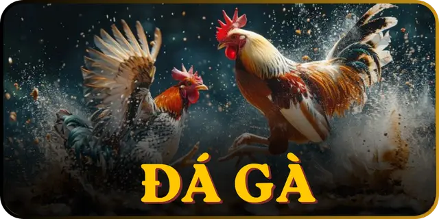 da-ga-g08