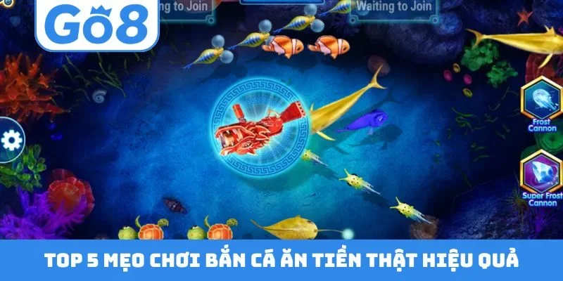 TOP 5 mẹo chơi bắn cá ăn tiền thật hiệu quả