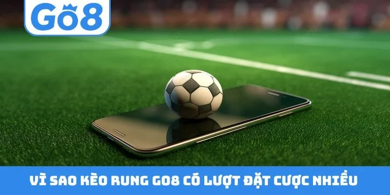 Vì sao kèo rung GO8 có lượt đặt cược nhiều